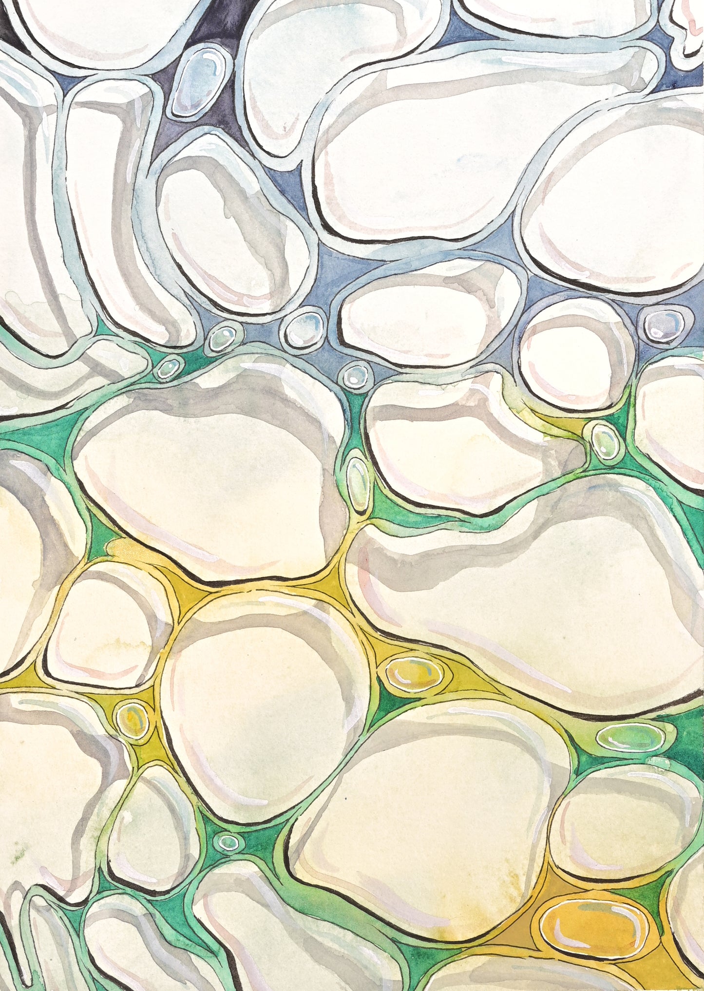 Reflections, Shadows, and Spaces Between